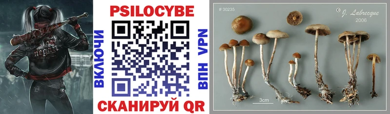 купить   Пятигорск  Псилоцибиновые грибы ЛСД 